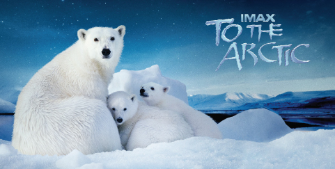 IMAX Film: To the Arctic